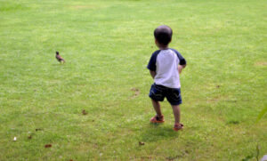 איך למנוע משמורת משותפת